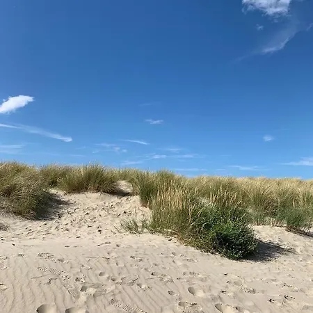 Bad * Nieuwpoort
